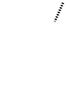 Budo7 Logo