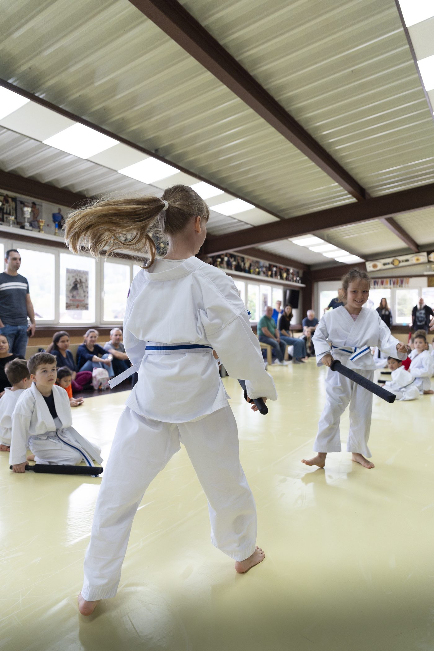 Kendo Training Budo7