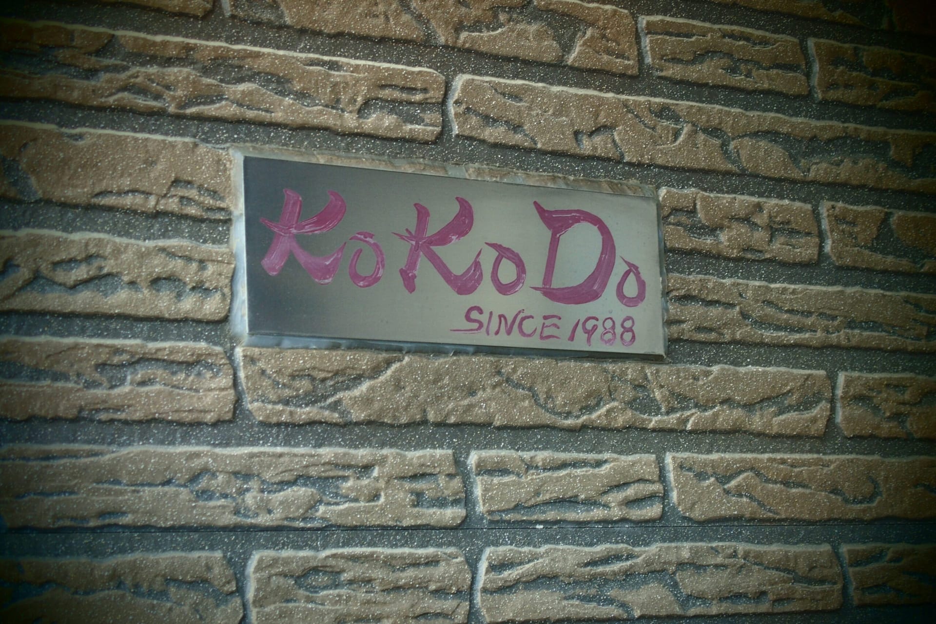 Klinik & Dojo Treffen in Japan 2016